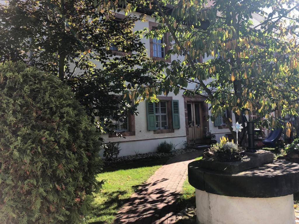 Butterfly Apartment Grimma