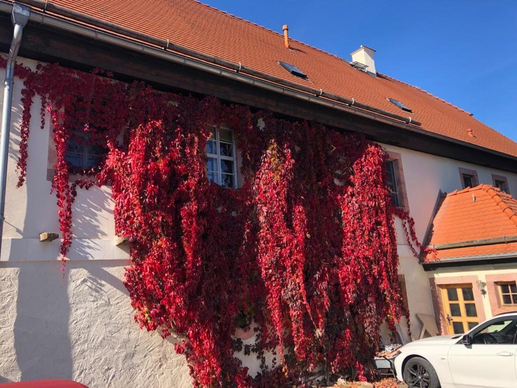 Butterfly Apartment Grimma